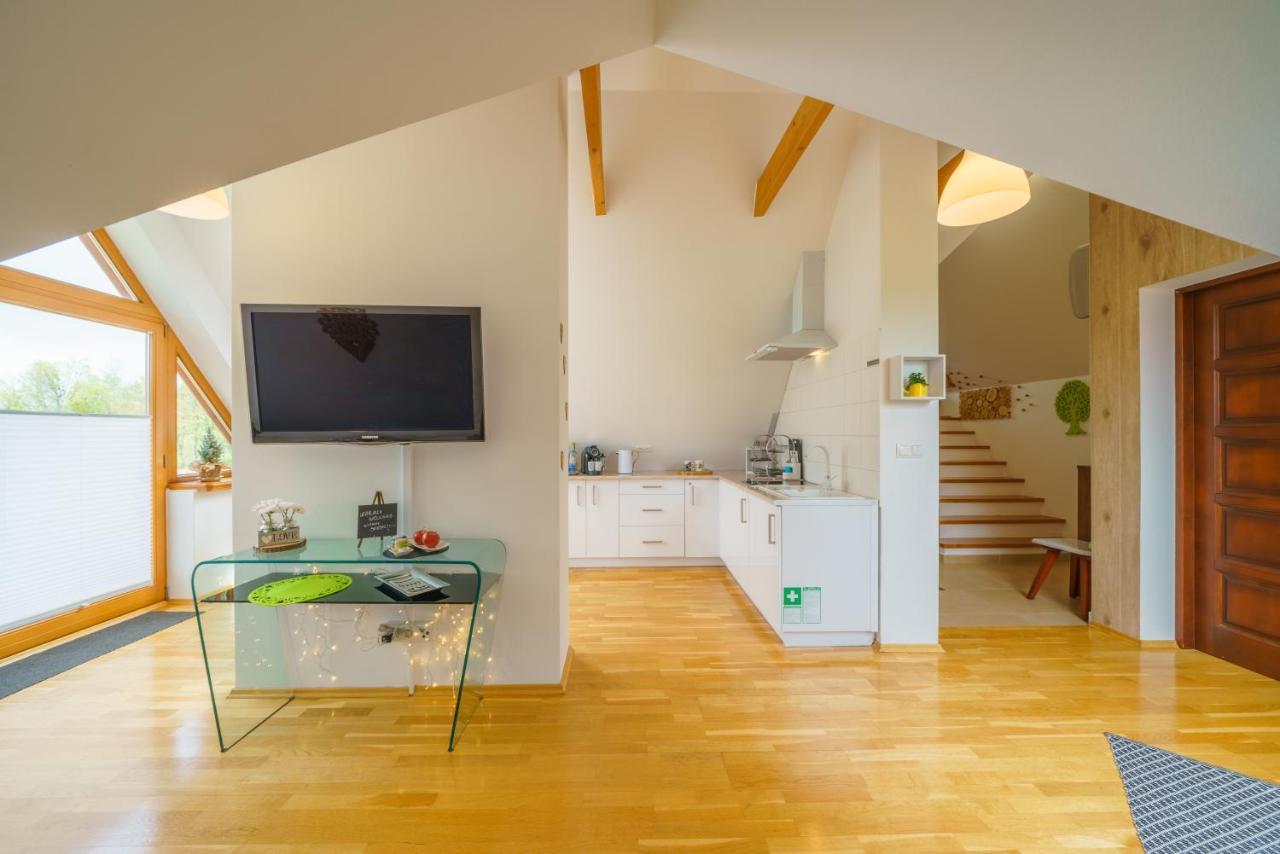 Loft Folk Apartament Закопане Екстер'єр фото