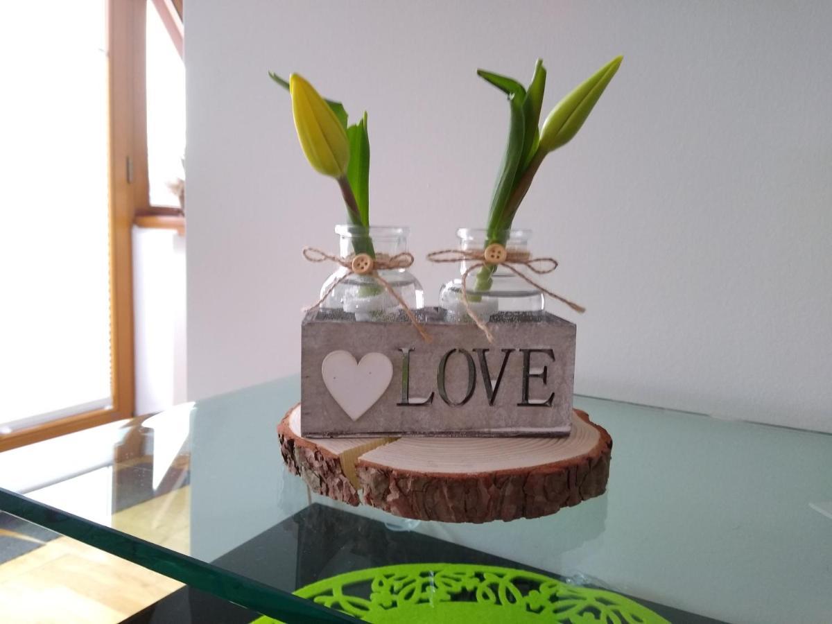 Loft Folk Apartament Закопане Екстер'єр фото